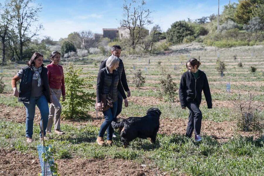 From location: Truffle farm visit, culinary workshop, meal - Meeting the Black Diamond at Maison de Garniac