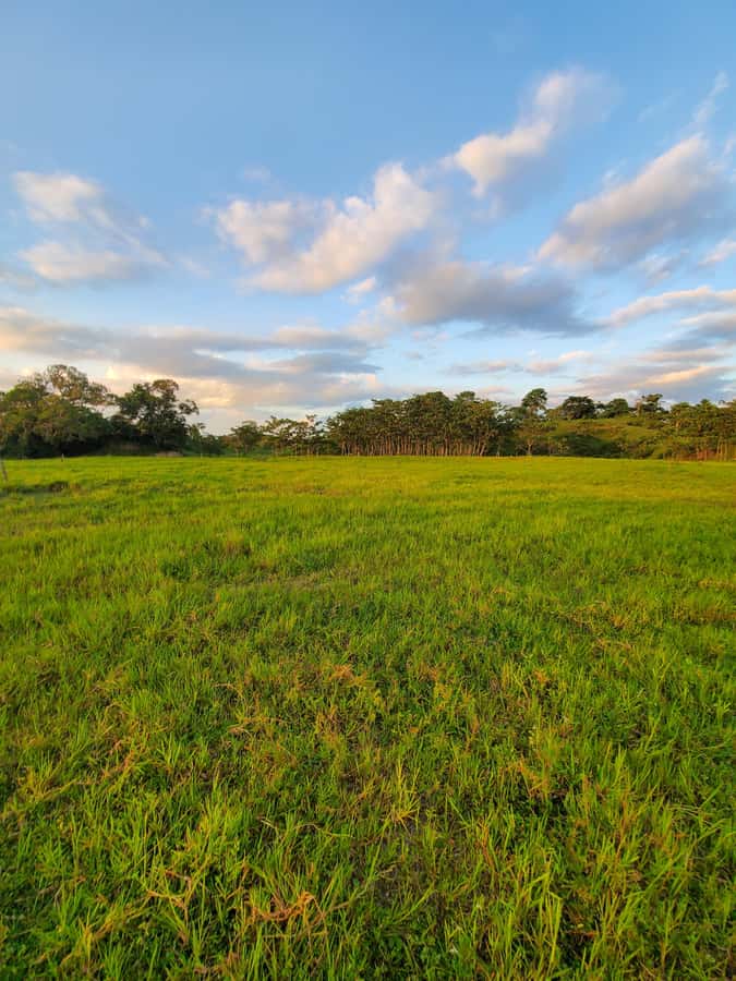 From Medellin; (All-In) The Real Horseback Ranch Experience - Who should book this experience
