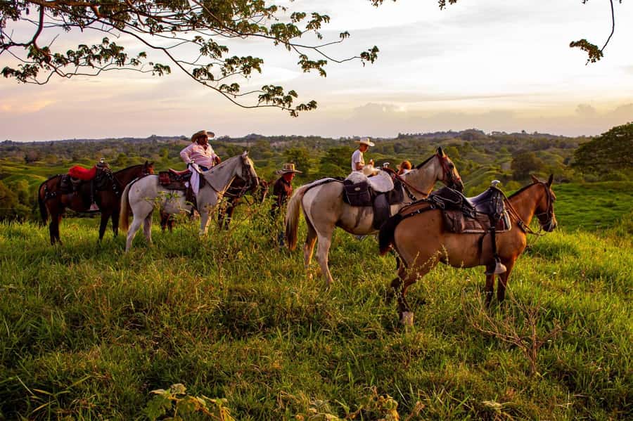 From Medellin; (All-In) The Real Horseback Ranch Experience - A ranch day far beyond Medellín