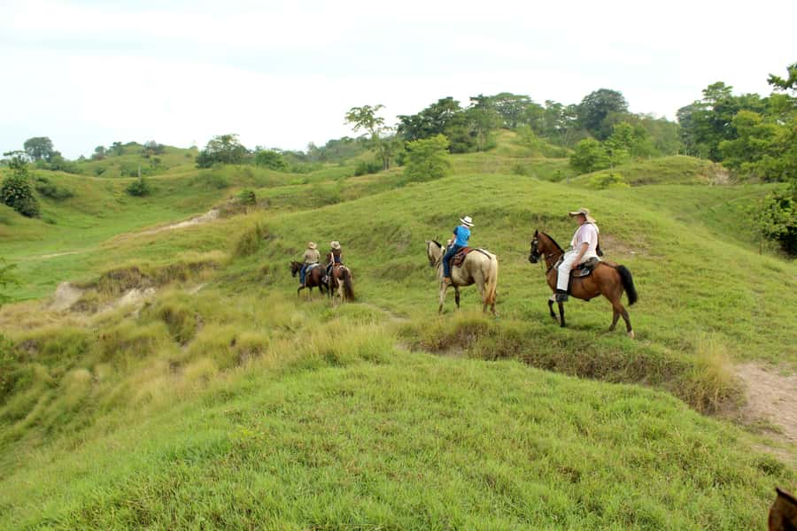 From Medellin; (All-In) The Real Horseback Ranch Experience - Fiambre in the middle of the fields