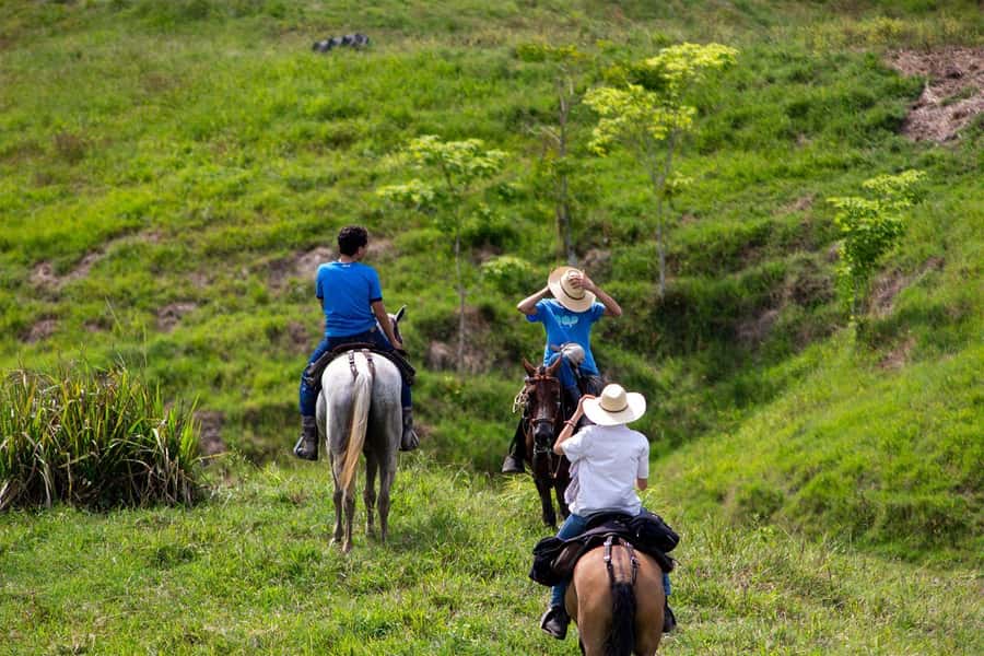 From Medellin; (All-In) The Real Horseback Ranch Experience - What the $250 price really covers