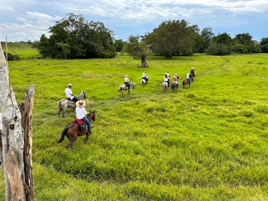 From Medellin; (All-In) The Real Horseback Ranch Experience - The 5:00 a.m. start and the road to El Hato