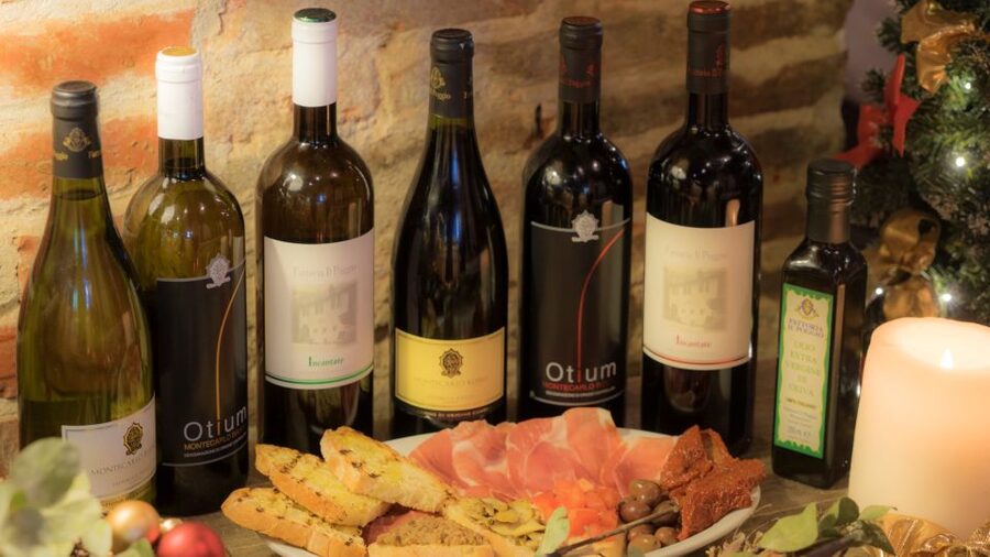 From Montecatini Terme: Wine Experience in Tuscan Farm - A short walk through vines and olive trees