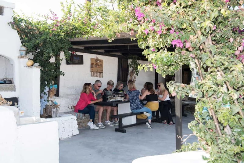 From Mykonos: Ano Mera Farm Tour - Timing, pickup, and practical advice