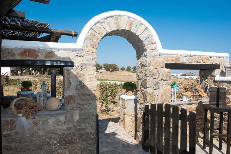 From Mykonos: Ano Mera Farm Tour - Animals, with realistic expectations