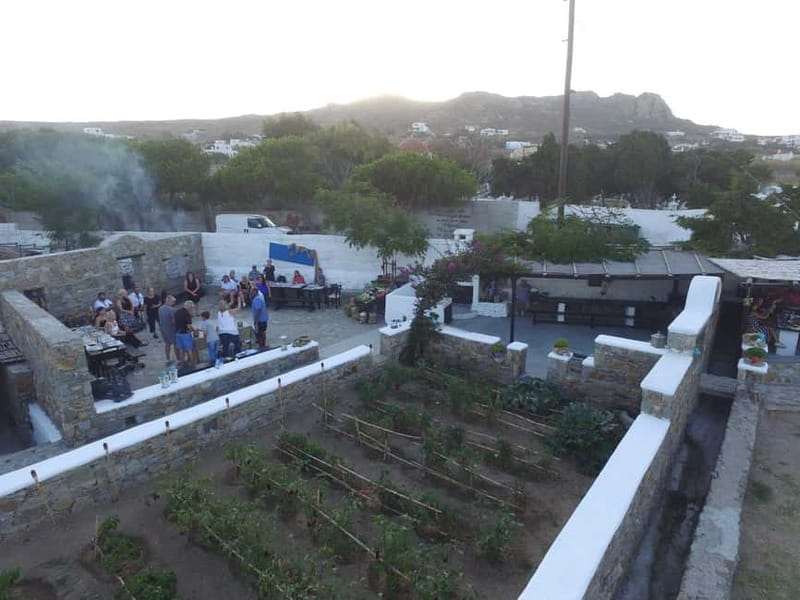 From Mykonos: Ano Mera Farm Tour - A traditional setting, not a polished attraction