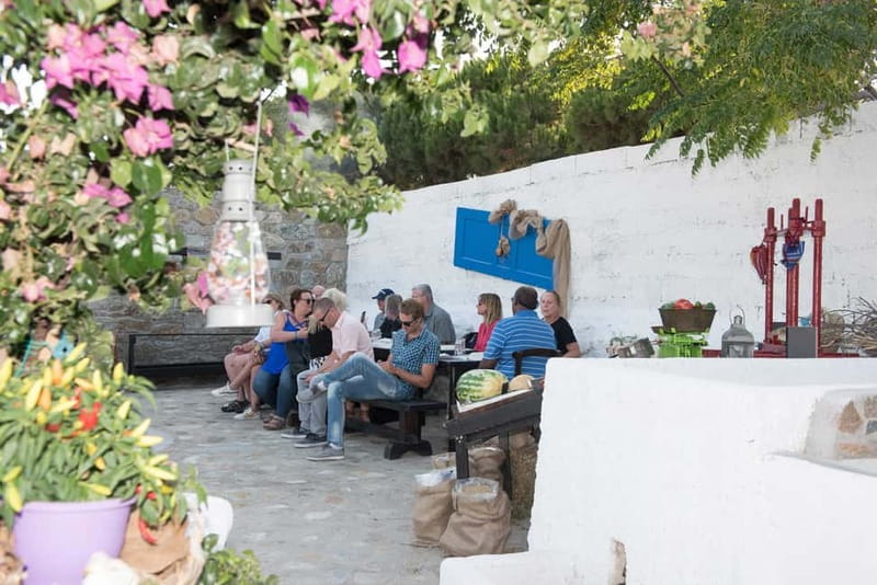 From Mykonos: Ano Mera Farm Tour - Who will enjoy this outing?