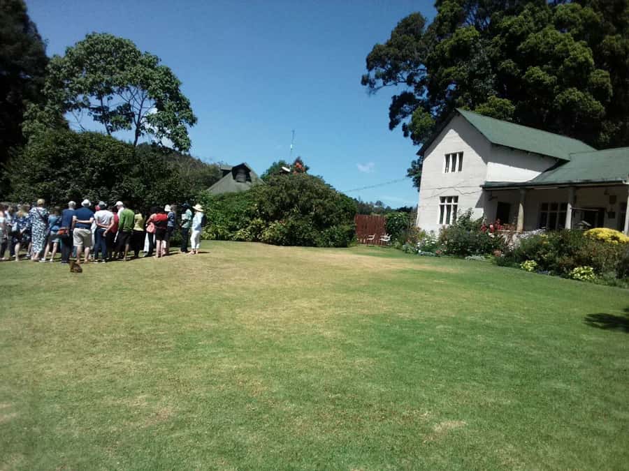 From Nairobi: Kiambethu Tea Farm Tour & Lunch - A three-course lunch at the main house