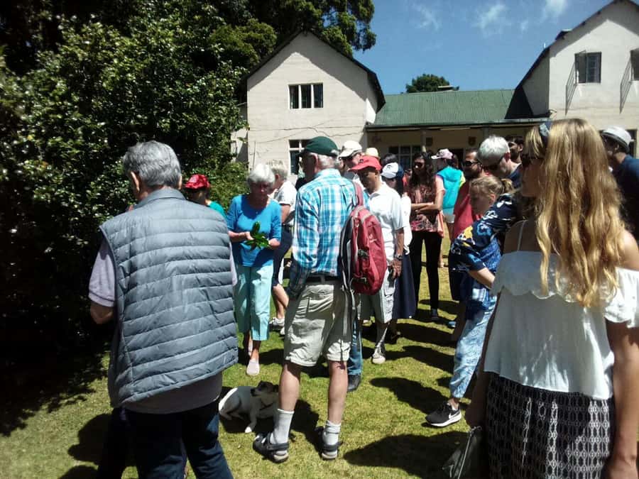 From Nairobi: Kiambethu Tea Farm Tour & Lunch - Practical details before you go