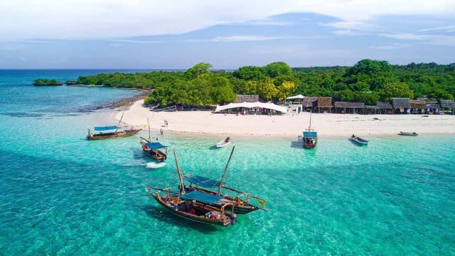 FROM NUNGWI: STONE TOWN, SPICE FARM TOUR AND PRISONAL ISLAND - Why this full-day route works