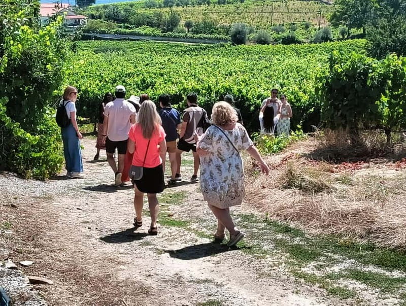 From Porto: 2 Wine Regions, Farm Lunch, and Boat Ride - Why this Douro Valley day works so well from Porto