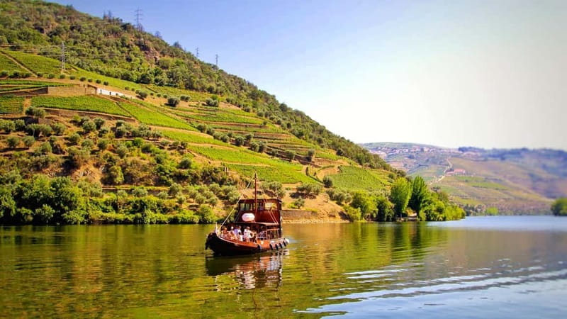 From Porto: 2 Wine Regions, Farm Lunch, and Boat Ride - Seeing the Douro from the water in Pinhão