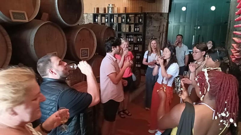 From Porto: 2 Wine Regions, Farm Lunch, and Boat Ride - Your guide can shape the whole day