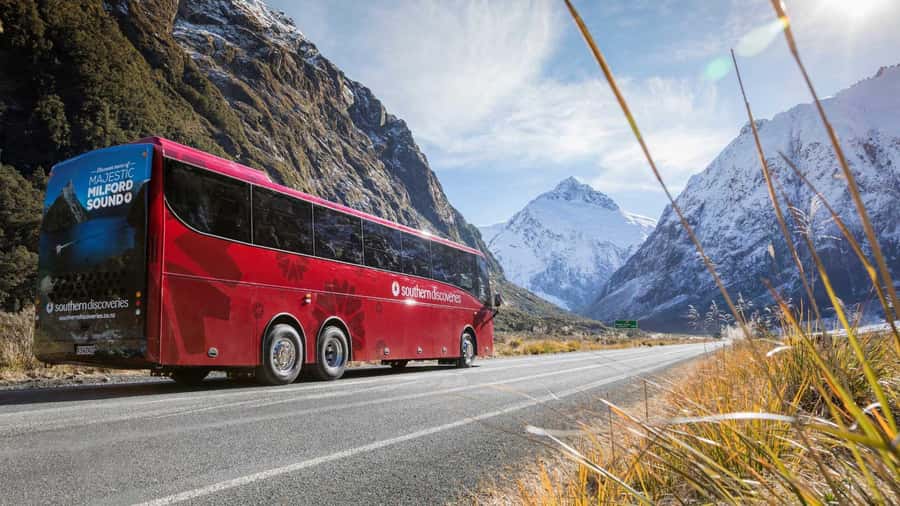 From Queenstown: Coach, Farm Tour & Milford Nature Cruise - Practical preparation for the farm and boat