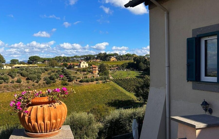 From Rome: Half-Day Frascati Wine Tour with Farmhouse Lunch - Music, conversation, and the family welcome