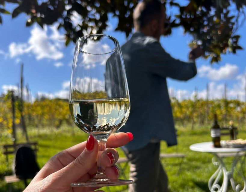 From Rome: Half-Day Frascati Wine Tour with Farmhouse Lunch - Is the $99 price good value?