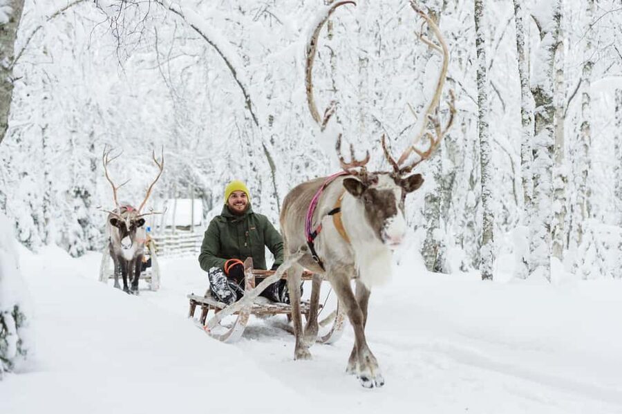 From Rovaniemi: Reindeer Farm Visit with Sleigh Ride - Key points to know before you book