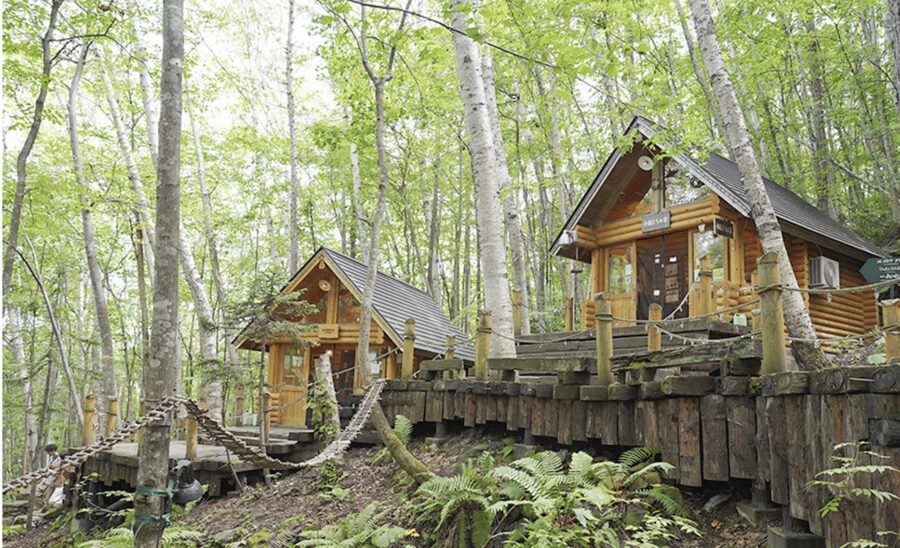 From Sapporo : Hokkaido Furano Tomita Farm Joiner Tour - Ningle Terrace and its wooden forest cabins