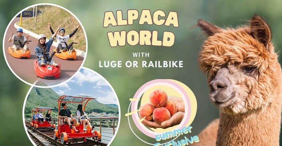 From Seoul: Full Day Trip to Alpaca Farm with Rail Bike - Should you book it?