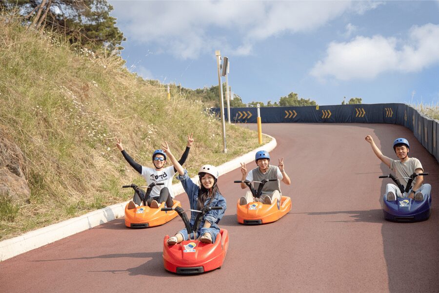 From Seoul: Full Day Trip to Alpaca Farm with Rail Bike - Alpaca World with a herd of 50