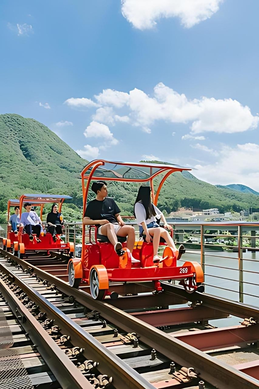 From Seoul: Full Day Trip to Alpaca Farm with Rail Bike - How the day is organized
