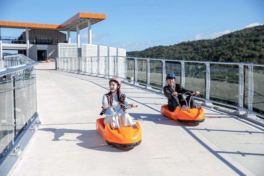 From Seoul: Full Day Trip to Alpaca Farm with Rail Bike - Is $59 good value?