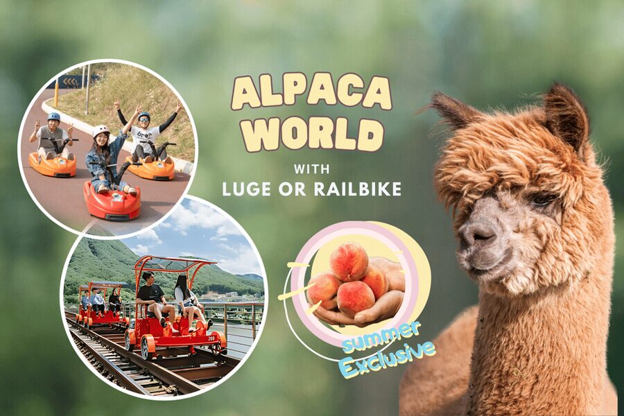 From Seoul: Full Day Trip to Alpaca Farm with Rail Bike - Who should book this day trip?