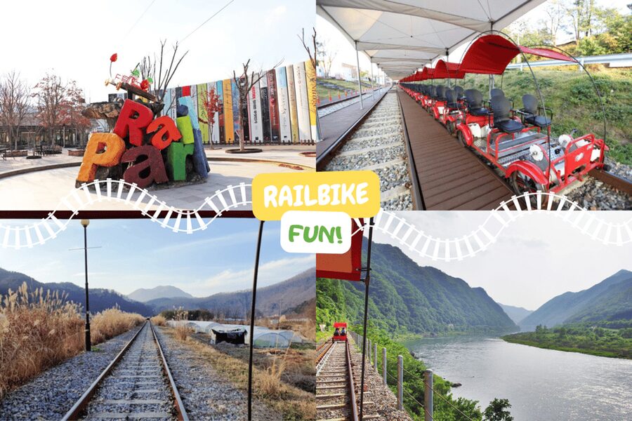From Seoul: Full Day Trip to Alpaca Farm with Rail Bike - Gangchon Rail Park and the old railway route