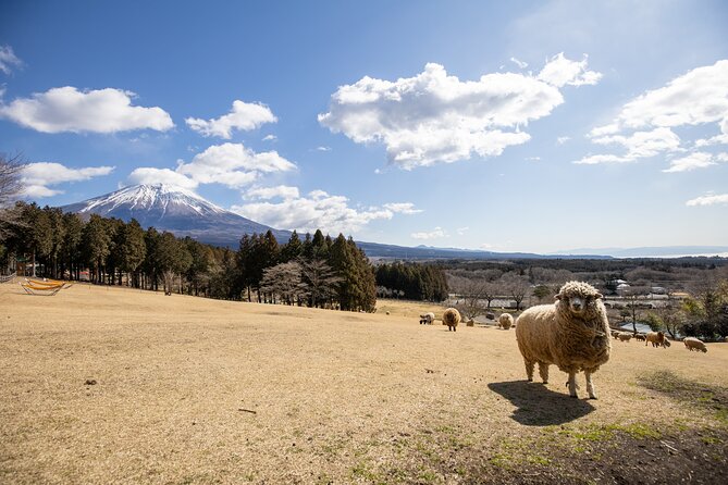 From Tokyo Mt.Fuji, Lake Kawaguchi, Makaino Farm day tour - The guide and group size