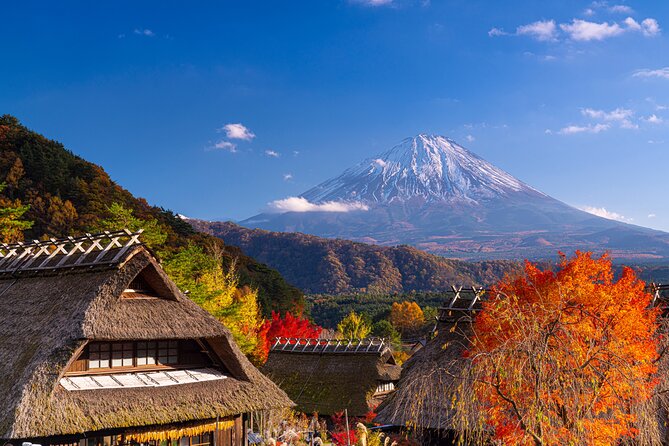 From Tokyo Mt.Fuji, Lake Kawaguchi, Makaino Farm day tour - Traffic, timing, and the long ride home