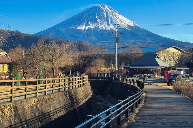 From Tokyo Mt.Fuji, Lake Kawaguchi, Makaino Farm day tour - Is $84.70 good value?
