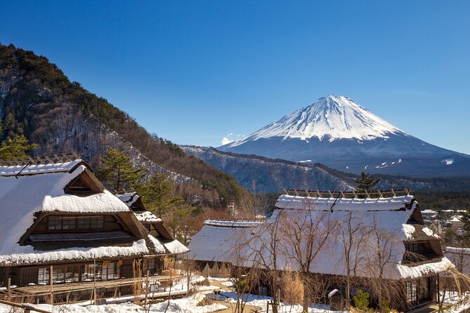 From Tokyo Mt.Fuji, Lake Kawaguchi, Makaino Farm day tour - Who should book this tour?