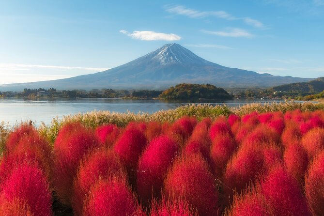 From Tokyo Mt.Fuji, Lake Kawaguchi, Makaino Farm day tour - Saiko Iyashi no Sato Nemba and its thatched buildings