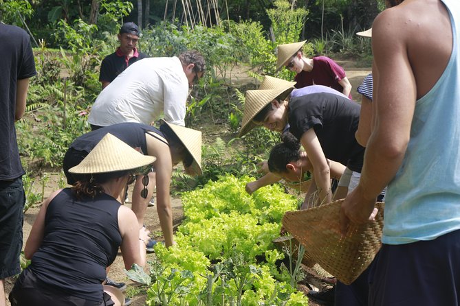 From Ubud: Authentic Bali Farm Cooking School & Organic Farm - Is $38 a fair price for this Ubud cooking class?