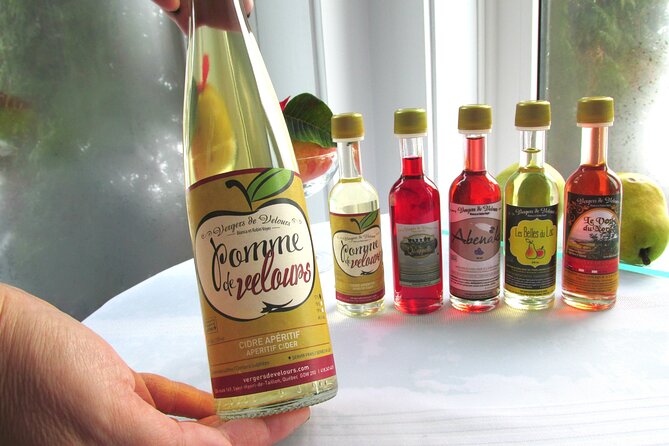 Fruit alcohol tasting + Velvet Orchards audio tour - The terrace and its Lac-Saint-Jean view