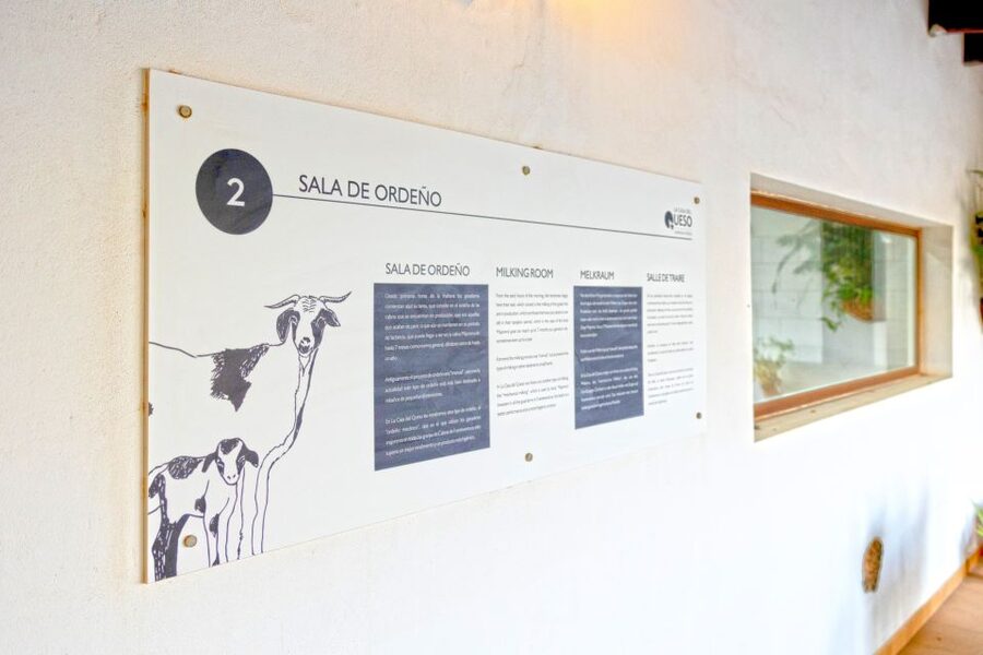 Fuerteventura: Artisan Goat's Cheese Making at Local Farm - Why Majorero cheese matters on Fuerteventura