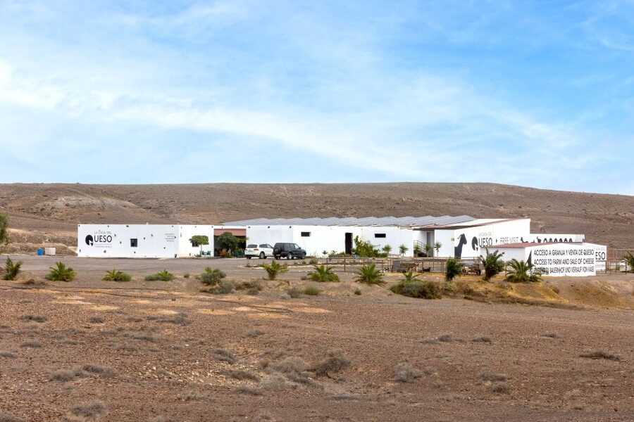 Fuerteventura: Artisan Goat's Cheese Making at Local Farm - Learning hand milking and machine milking