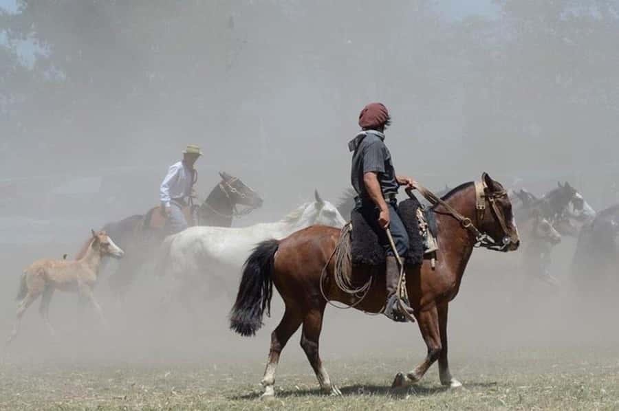 Full-Day at Santa Susana Ranch with BBQ, Drinks and Show - Mate and pastries to close the ranch day
