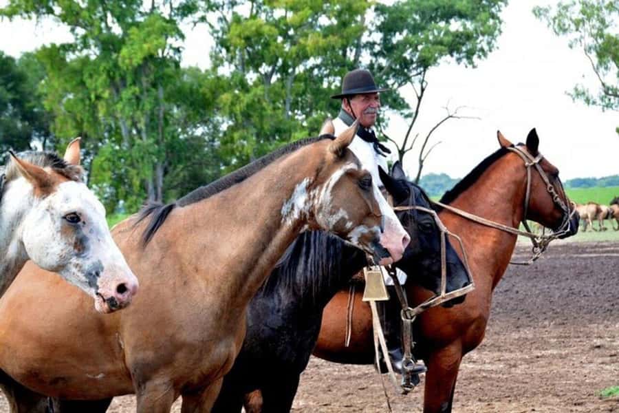 Full-Day at Santa Susana Ranch with BBQ, Drinks and Show - Is $595 a fair price for this day?