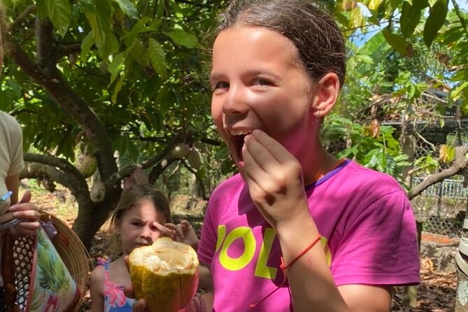 Full Day Experience to Farm and Chocolate - From Ho Chi Minh City to Binon Cacao Park