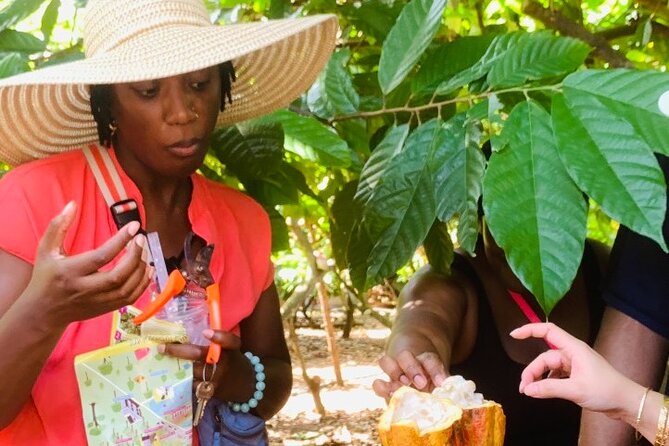 Full Day Experience to Farm and Chocolate - What the $16.55 Price Really Covers