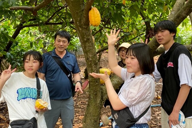 Full Day Experience to Farm and Chocolate - Who Will Enjoy This Day Most
