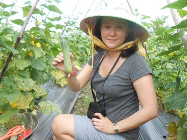 Full-Day Farming & Cooking class at Agricultural Village - Cows, Gardens, Mushrooms, and Unusual Fruit