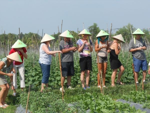 Full-Day Farming & Cooking class at Agricultural Village - Cooking Vietnamese Dishes With a Professional Chef