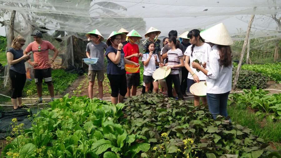 Full-Day Farming & Cooking class at Agricultural Village - Should You Book the Cu Chi Farm Cooking Class?