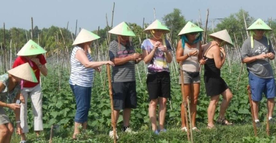 Full-Day Farming & Cooking class at Agricultural Village - Picking Ingredients in a Traditional Hat