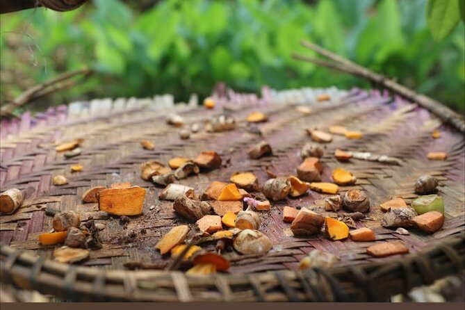 Full Day Private Stone Town, Spice Farm & Prison Island Tour - Why a private guide changes the day