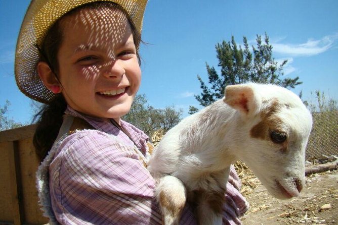 Full-Day Ranch Adventure and Horseback Riding Tour - Key points to know before booking