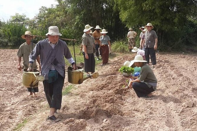 Full Day Siem Reap Farm Tour with Cooking Class and Monk Blessing - A rural morning beyond Siem Reap