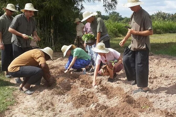 Full Day Siem Reap Farm Tour with Cooking Class and Monk Blessing - Why the tuk-tuk ride matters